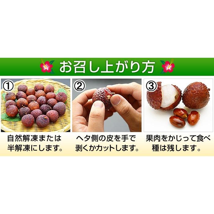 冷凍ライチ 500g ライチ らいち レイシ 業務用 lychee : 名代 釜庄