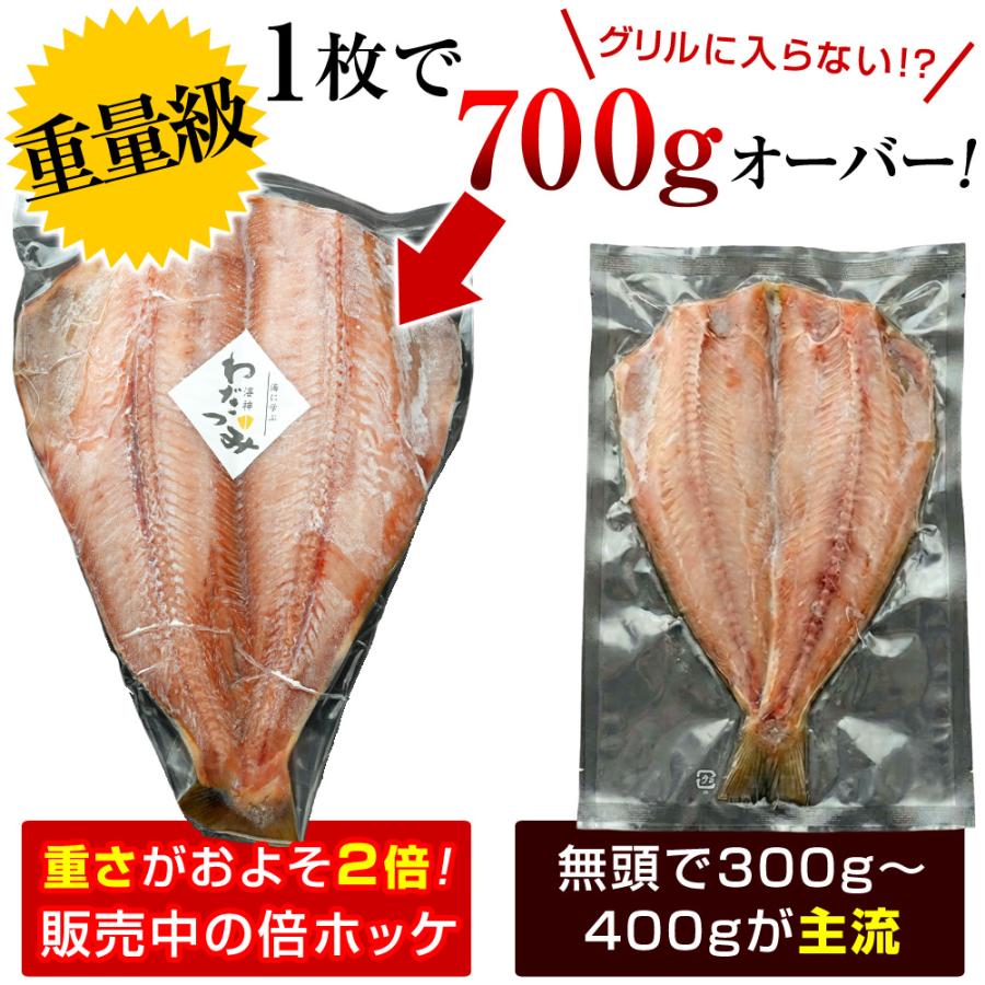 2980円〜選べる Yahoo!ショッピング最大級 超特大 トロ ほっけ 干物 倍