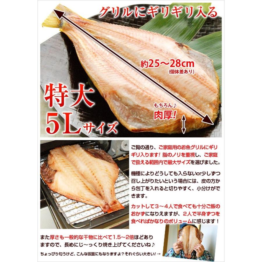 特大 干物 5Lサイズ 単品 ホッケ または 赤魚 から選べる あかうお