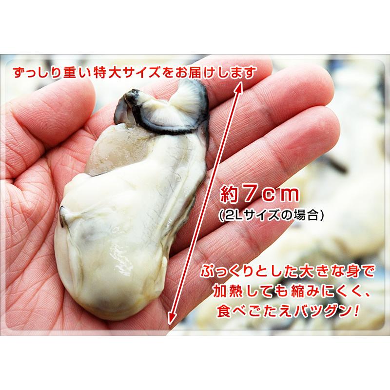 牡蠣 大粒 カキ 国産 特大 冷凍牡蠣 牡蛎 剥き身 加熱用 広島県産 剥きカキ 3Lまたは2L 選べる 総重量 1kg 内容量850g 敬老の日 プレゼント |  | 04