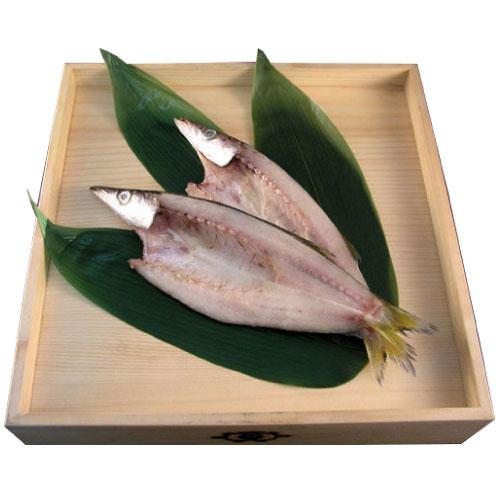 かます 干物 1枚 国産 無添加 熱海 釜鶴 ひもの 冷凍 315 釜鶴ひもの店 Yahoo 店 通販 Yahoo ショッピング