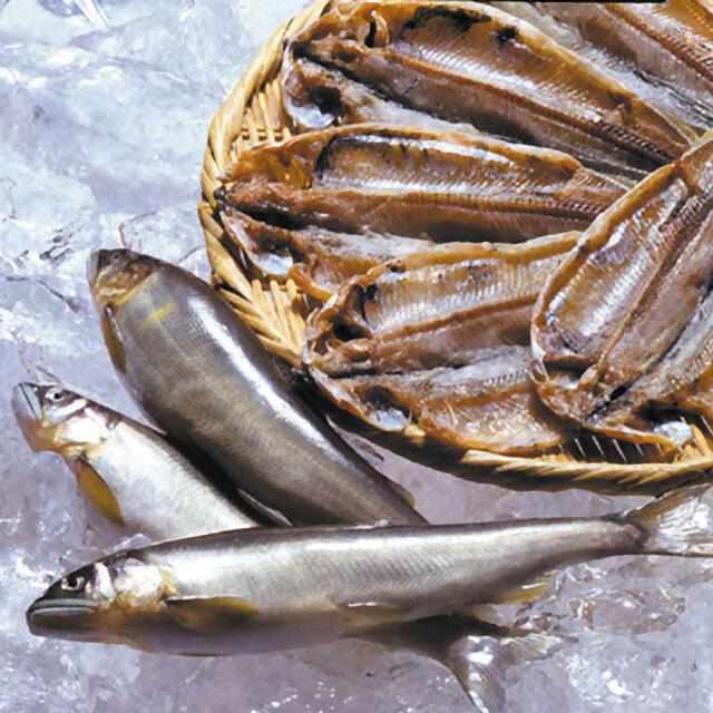鮎 干物 1枚 国産 無添加 熱海 釜鶴 ひもの 8001 釜鶴ひもの店 Yahoo 店 通販 Yahoo ショッピング