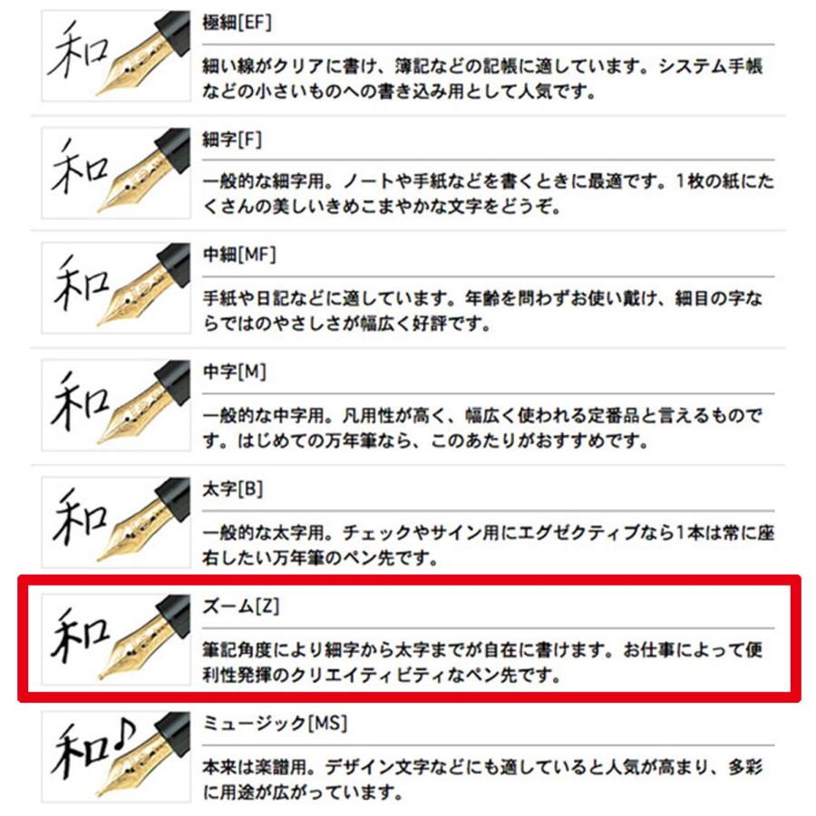 Sailor 11-1219-720 Fountain Pen Pro Fit Standard Black Zoom｜kame-express｜05