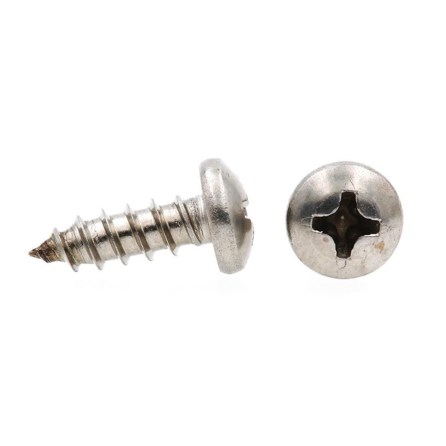 100 Viti Autofilettanti Per Lamiera Testa Ovale In Acciaio Inox #10 X 1-1/4 - Marca Fastenere, Filettatura Phillips
