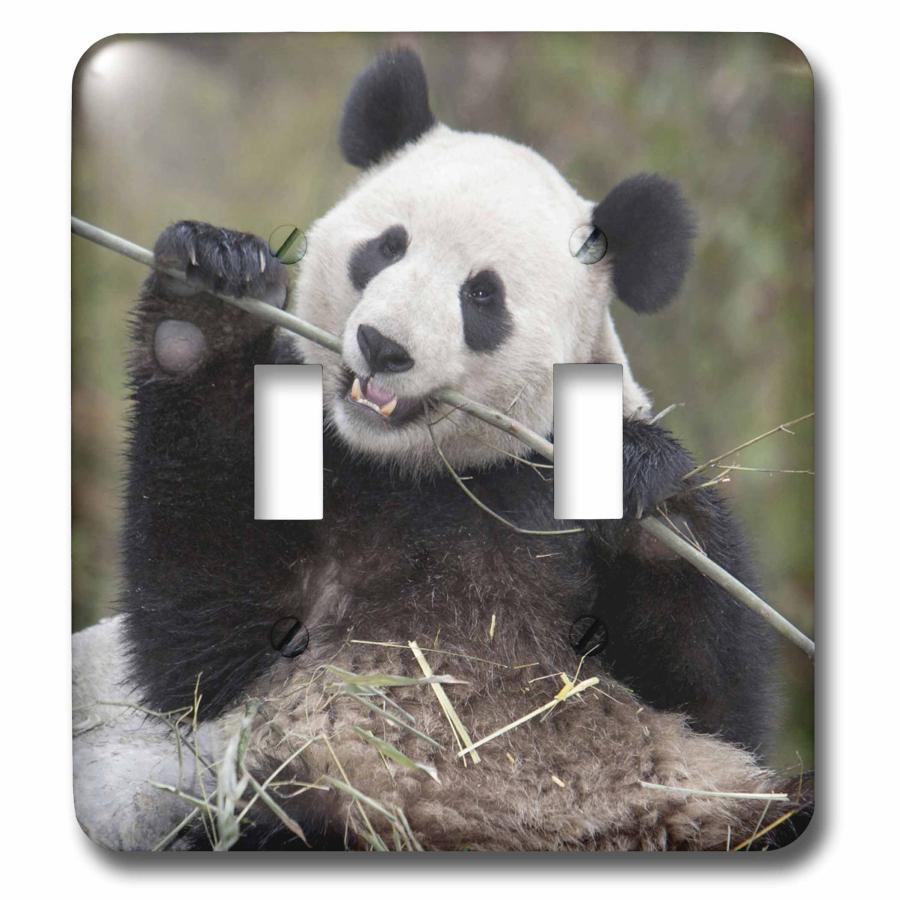 3dRose lsp_132354_2 China Wolong Giant Panda Bear Eating Bamboo As07 Aga0009 Alice Garland Light Switch Cover｜kame-express｜02