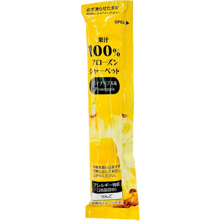 【 まもなく値上げ 】16L / 8L×2 フローズン シャーベット 業務用 RIBBON 熱中症対策 に！ 凍らせて食べる 果汁100％ フローズン