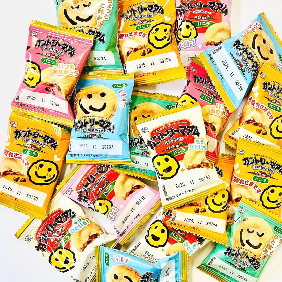 不二家（FUJIYA） カントリーマアム バニラ 480個 送料無料 大量 お