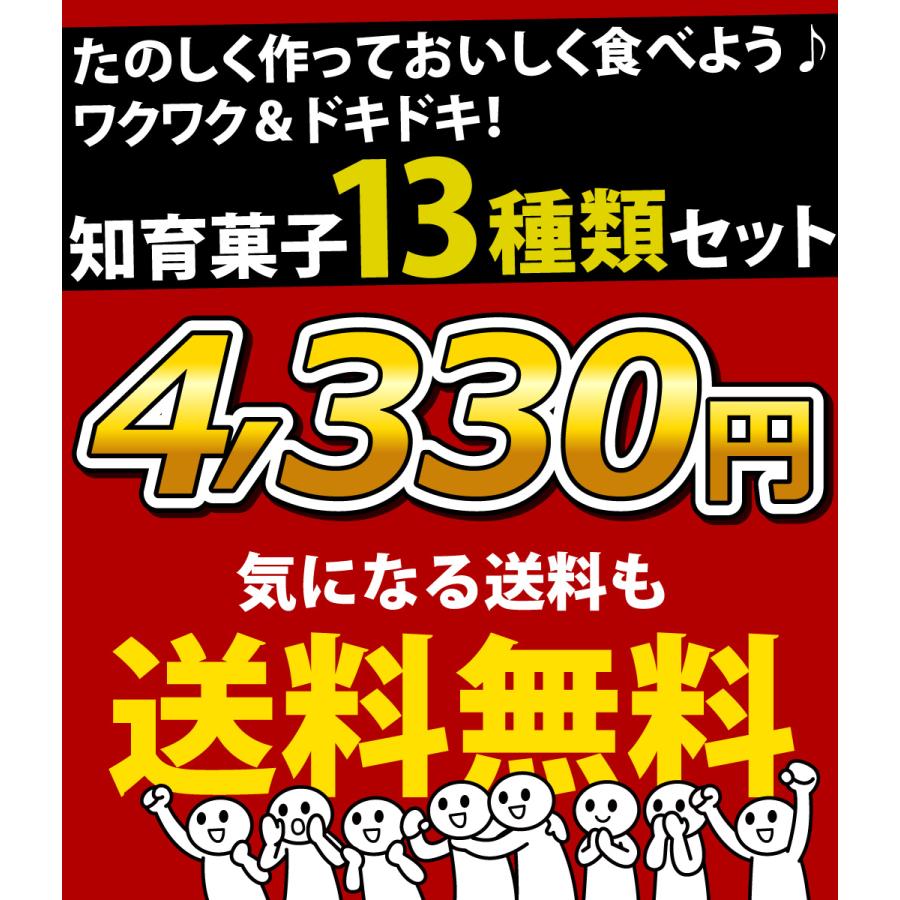Kracie（クラシエ） 知育菓子詰め合わせ 13種類セット 駄菓子 お菓子