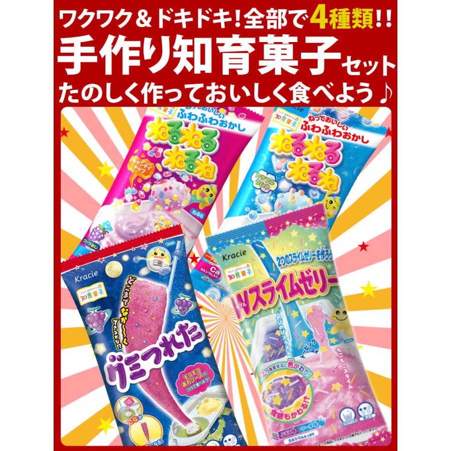 Kracie（クラシエ） 手作り知育菓子 詰め合わせ お試し4点セット