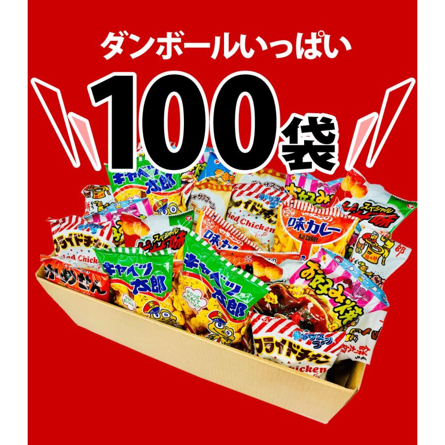 駄菓子スナック好き大集合！超メガ盛り！10種類100袋セット
