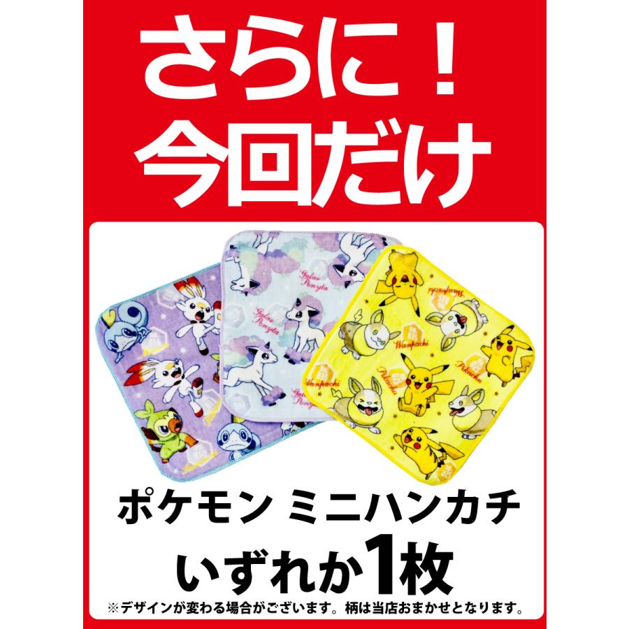 BANDAI（バンダイ） 今なら「おまけ付き」！ ギフト袋付！ ポケモン お