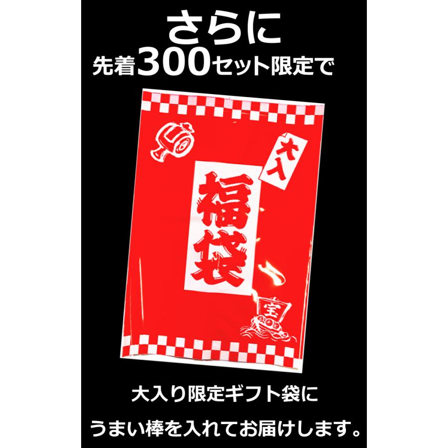 500円 送料無料 大入りギフト袋入！ うまい棒10種類 合計10本