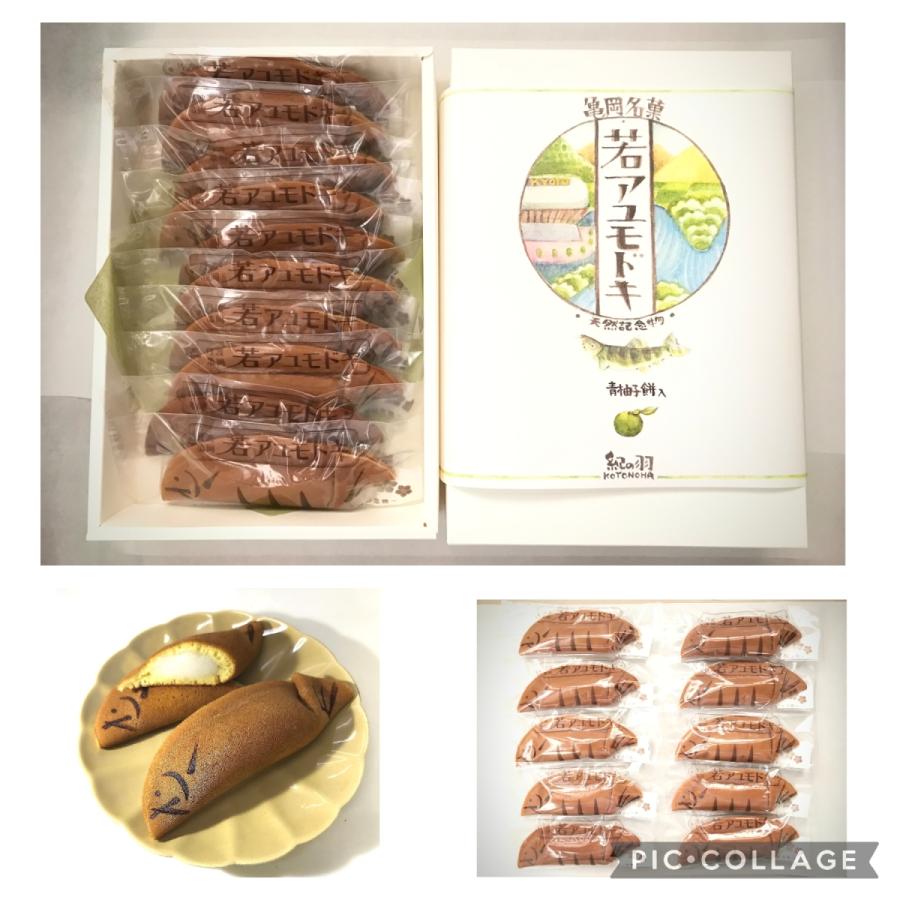 和菓子 鮎 詰合せ 進物 鮎菓子 若アユモドキ 鮎餅 10個入|kamema