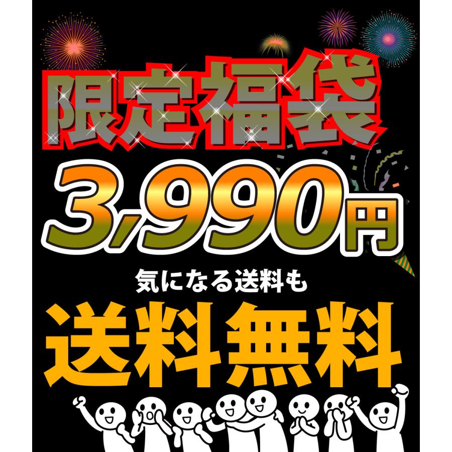 第79弾 カール や ポテトチップス BIGBAG ポリンキー も！ スナック菓子 詰め合わせ 17種類 合計103袋 福袋 小袋お菓子 送料無料｜kamenosuke｜06