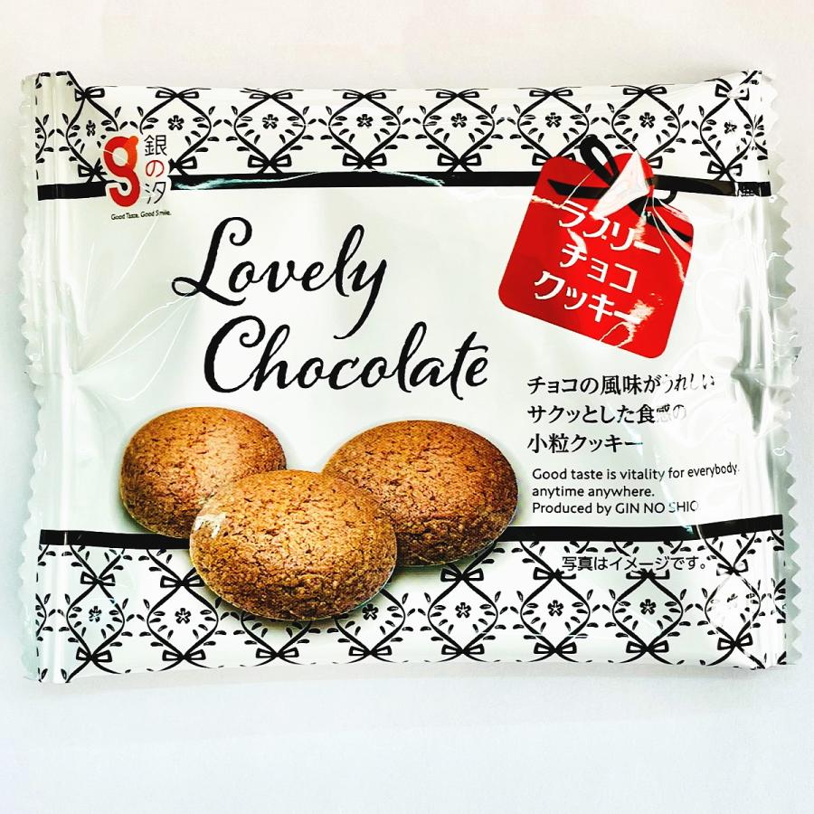 1袋約60円！ 銀の汐 ラブリー チョコクッキー 1袋（10g）×40袋 送料