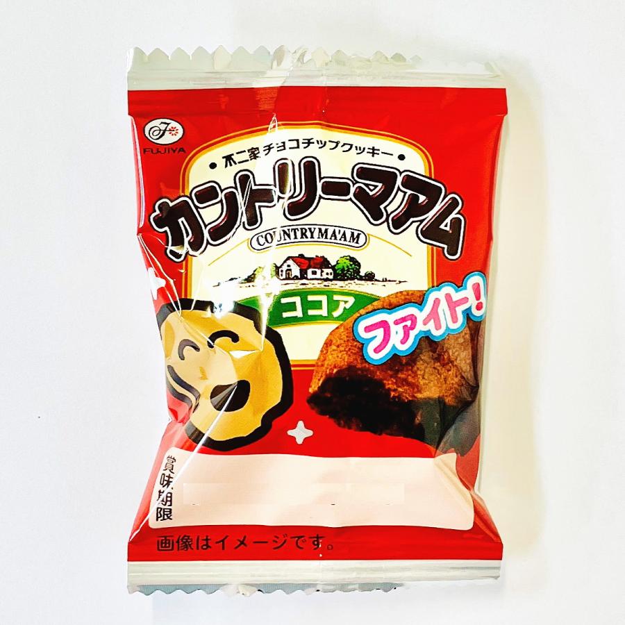 不二家（FUJIYA） 500円 送料無料 カントリーマアム ココア 10個 ゆう