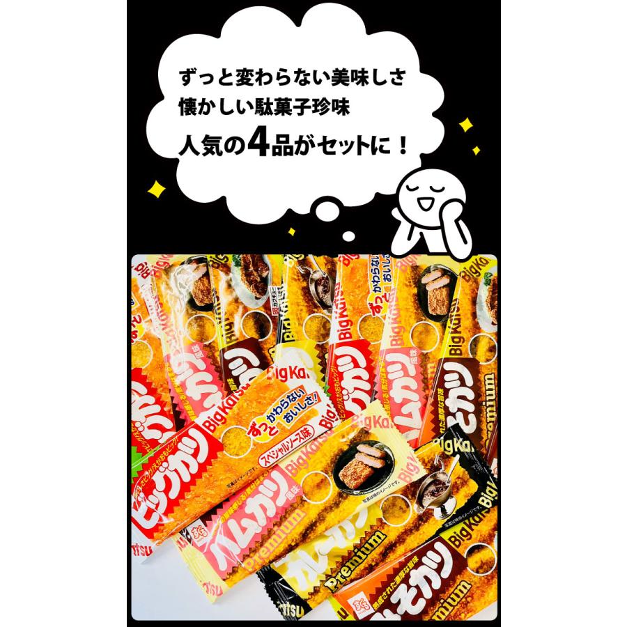 スグル食品（SUGURU） スーパーカツミックス 4種類 合計16枚 食べ比べ