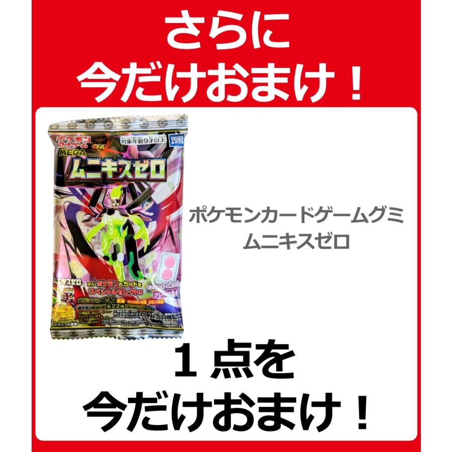 今なら「おまけ付き」 ポケモンギフト袋付！ ポケモン 6種類 合計9点