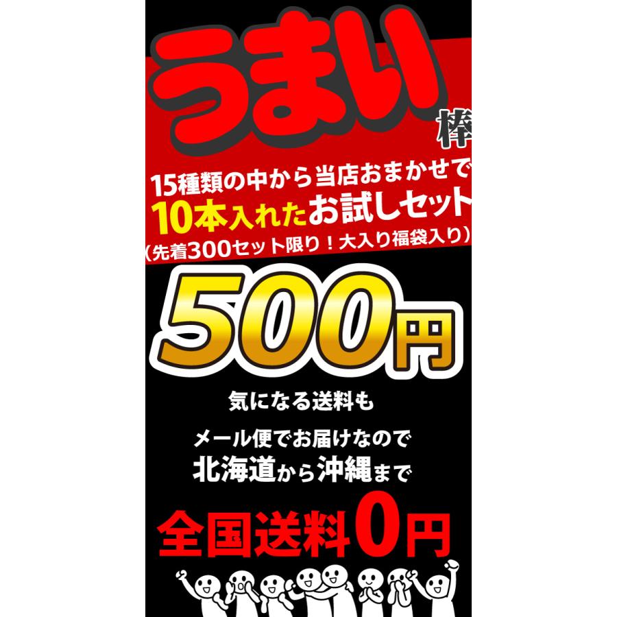 500円 送料無料 大入りギフト袋入！ うまい棒10種類 合計10本