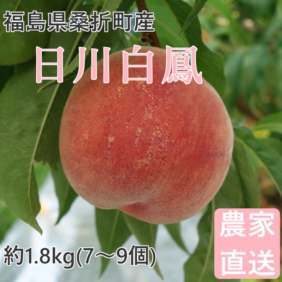 桃 日川白鳳 1.8kg 福島桑折町産 7月上旬〜7月中旬お届け 7〜9個 常温