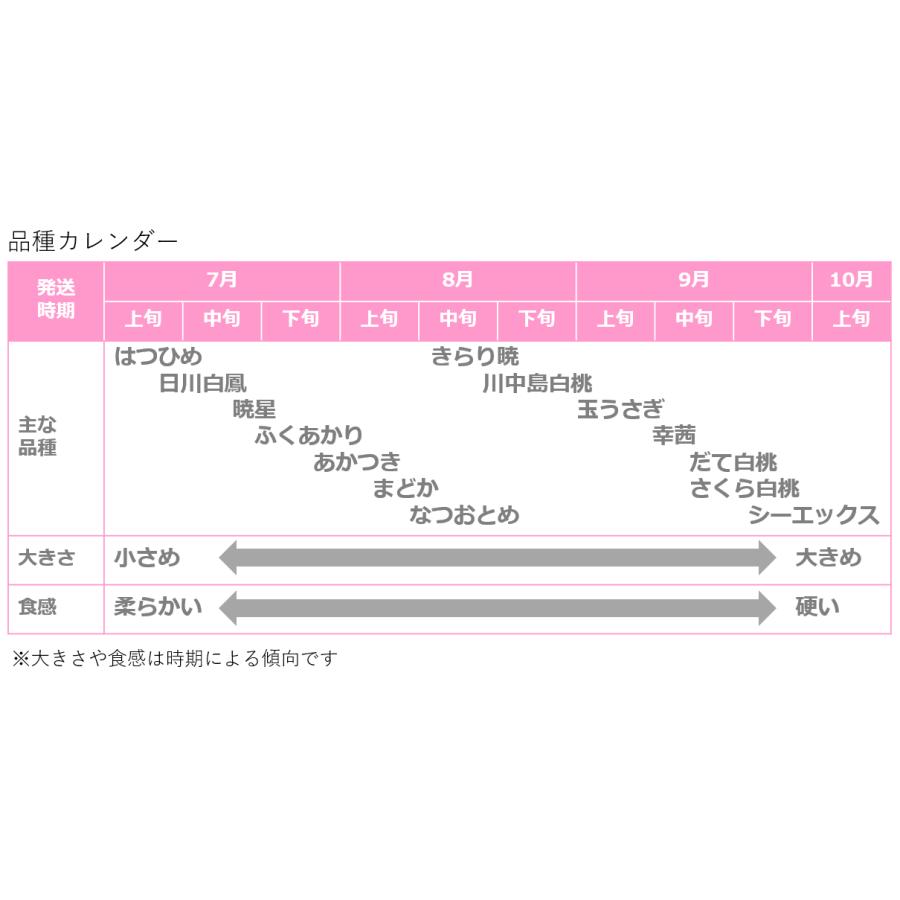 桃 はつひめ 1.8kg(7〜9個) 福島桑折町産 通常品 6月下旬〜7月上旬お届け 常温配送｜kameokakajuen｜02