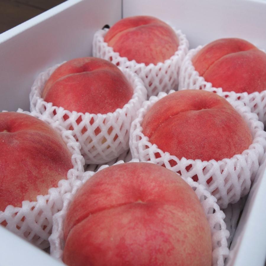 桃 はつひめ 1.8kg(7〜9個) 福島桑折町産 ギフト品 6月下旬〜7月上旬お届け|kameokakajuen|02
