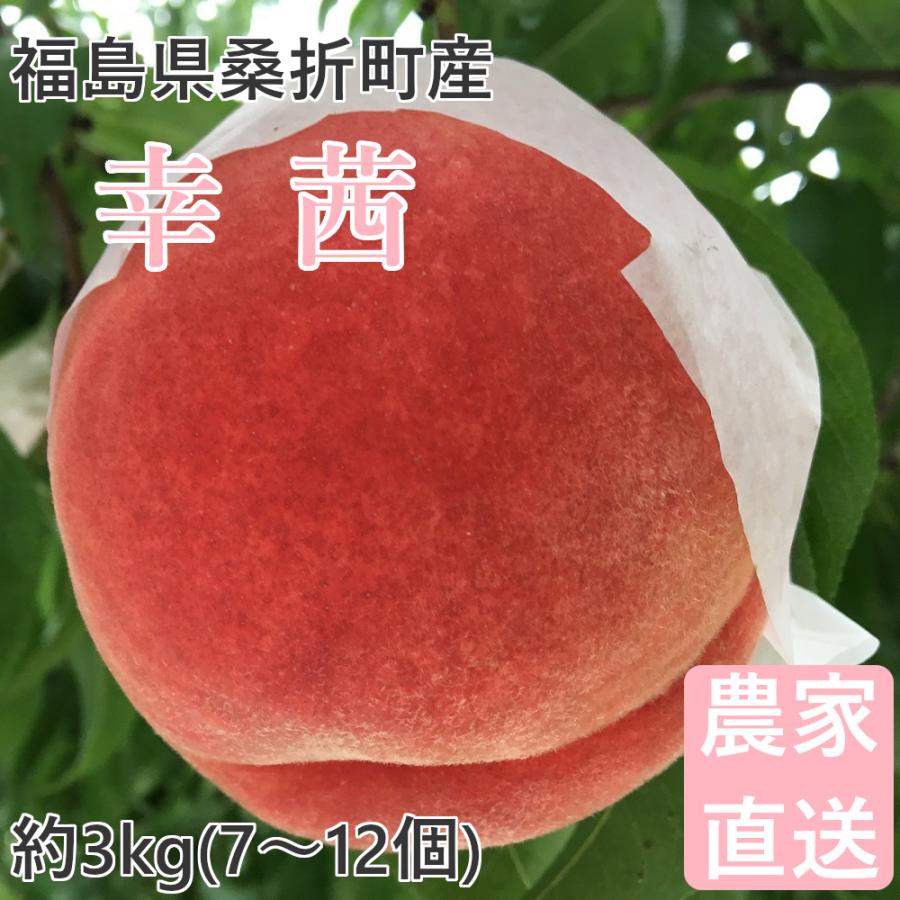 桃 幸茜 3kg 福島桑折町産 8月下旬-9月上旬お届け 7〜12個 常温