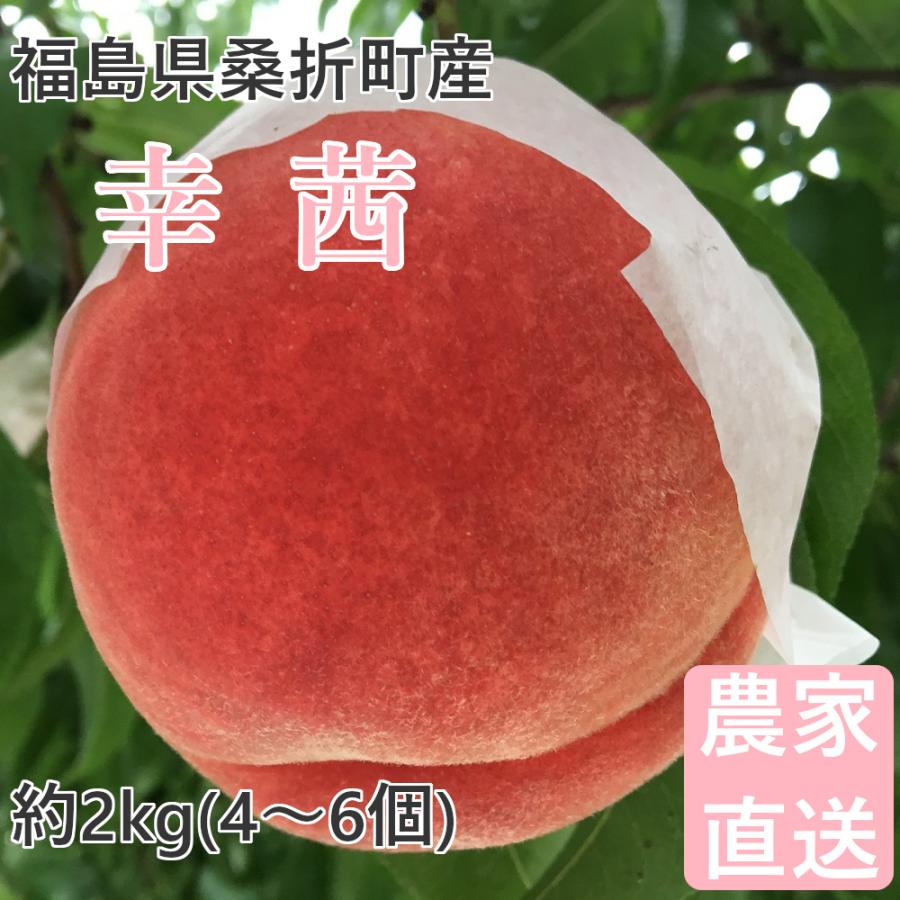 桃 幸茜 2kg 福島桑折町産 8月中旬-9月上旬お届け 4〜6個 常温配送