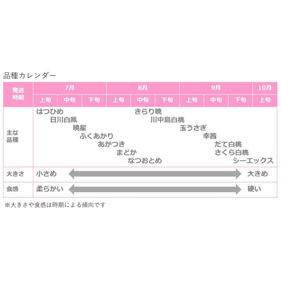 桃 1.8kg(7〜9個) 福島桑折町産 ギフト品 早生品種おまかせ 6月下旬-7月中旬お届け :MM-XE-S-2:福島桑折町 亀岡果樹園 - 通販 - Yahoo!ショッピング 桃 1.8kg(7〜9個) 福島桑折町産 ギフト品 早生品種おまかせ 6月下旬-7月中旬お届け :MM-XE-S-2:福島桑折町 亀岡果樹園 - 通販 - Yahoo!ショッピング
