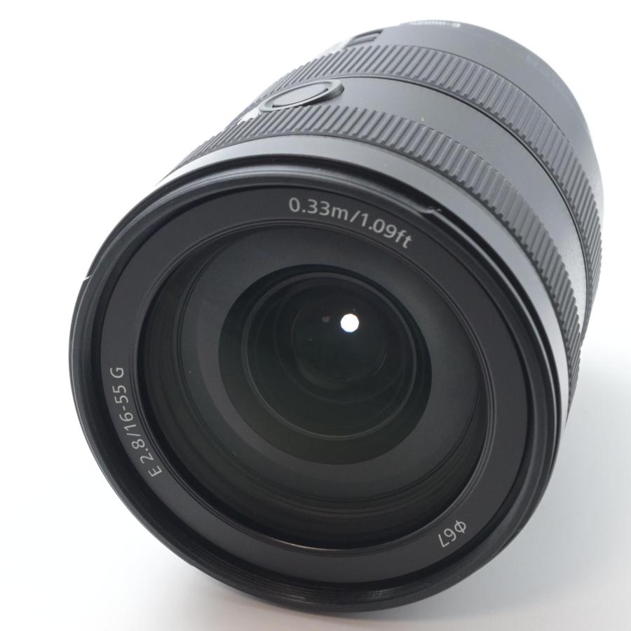 ソニー SONY E 16-55mm F2.8 SEL1655G |  | 01