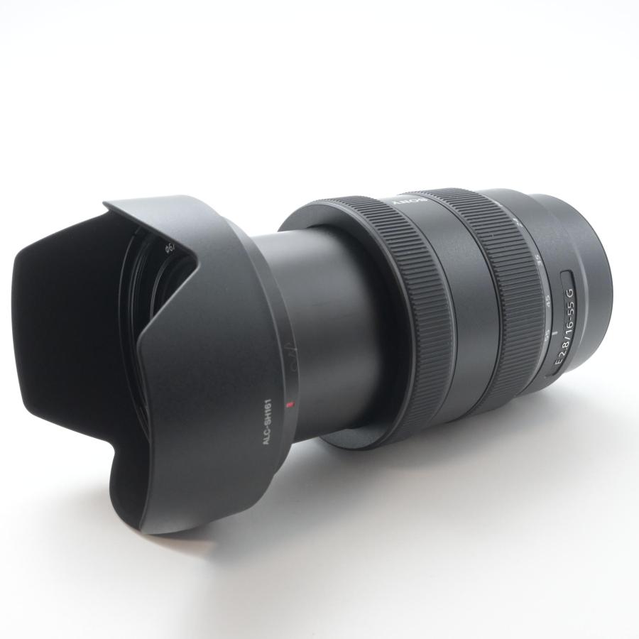 ソニー SONY E 16-55mm F2.8 SEL1655G |  | 05