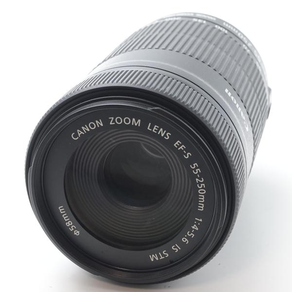 キヤノン Canon EF-S55-250mm F4-5.6 IS STM |  | 01