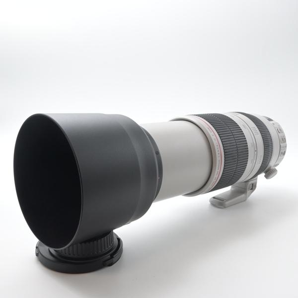 キヤノン Canon EF 100-400mm F4.5-5.6L IS II USM |  | 07