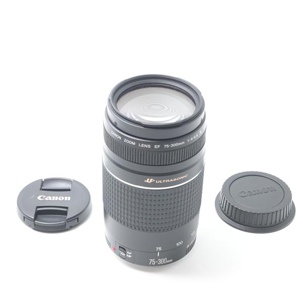 キヤノン Canon EF 100-300 F4.5-5.6 USM[美品B] | 
