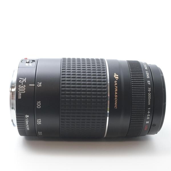 キヤノン Canon EF 100-300 F4.5-5.6 USM[美品B] |  | 03