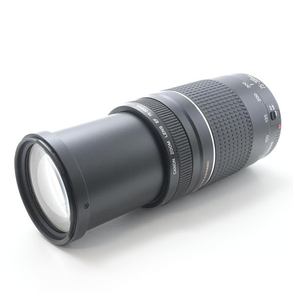 キヤノン Canon EF 100-300 F4.5-5.6 USM[美品B] |  | 05
