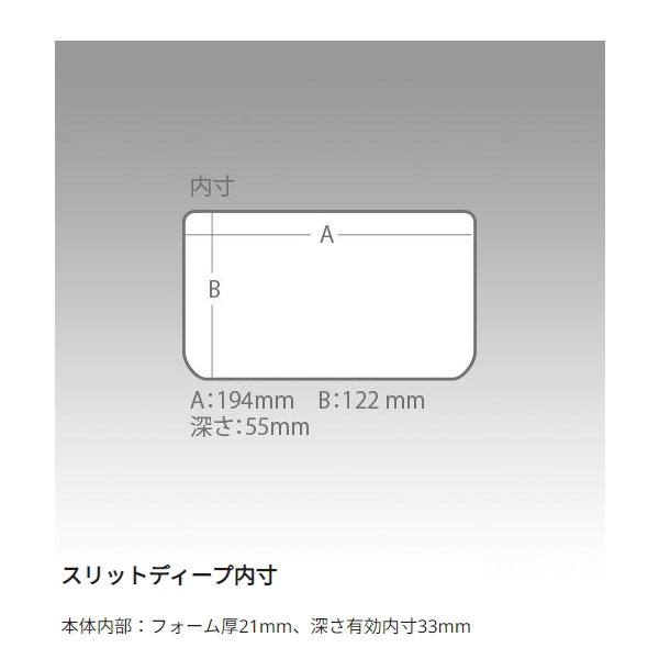 Abu Garcia（アブガルシア） 爆買対象商品 [90] ルアーケース スリット