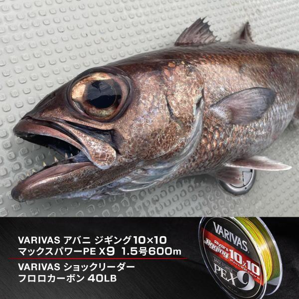 VARIVAS（バリバス） [1] アバニ ジギング10x10 マックスパワーPE X9