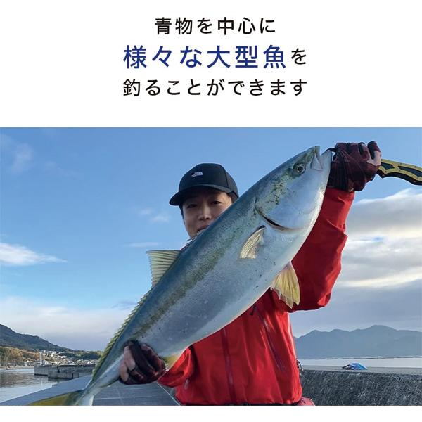 FIVE STAR（ファイブスター） [90] 極靭 7-500pts : かめや釣具 - 通販