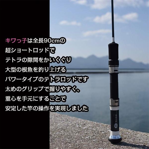 FIVE STAR（ファイブスター） [112] キワっ子 90 : かめや釣具 - 通販