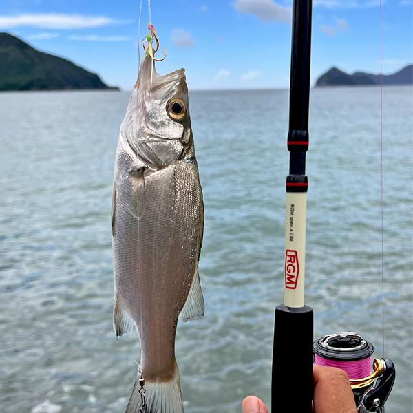 RGM ルースターギアマーケット SPEC6 510 ブラック RGM ルースターギアマーケット SPEC6 510 ブラック 楽天市場】RGM