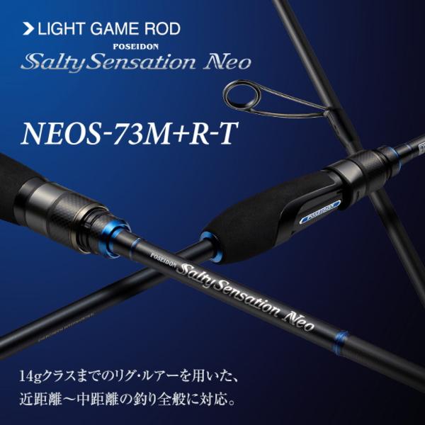堤*俊様 新商品26エバーグリーンソルティセンセイション NEO NEOS-73 EverGreen（エバーグリーン） エバーグリーンインターナショナル [90