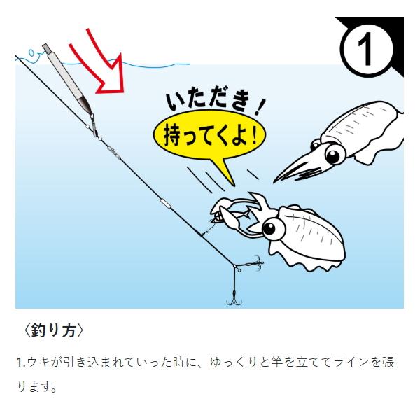 がまかつ 瀬芹はや 9m ハエ　オイカワ Gamakatsu（がまかつ） [1] IK-104 お墨付きアオリイカはねあげ