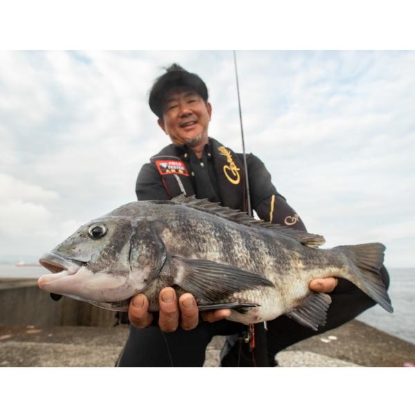 Gamakatsu（がまかつ） [90] がまチヌ へちさぐり 銀参郎