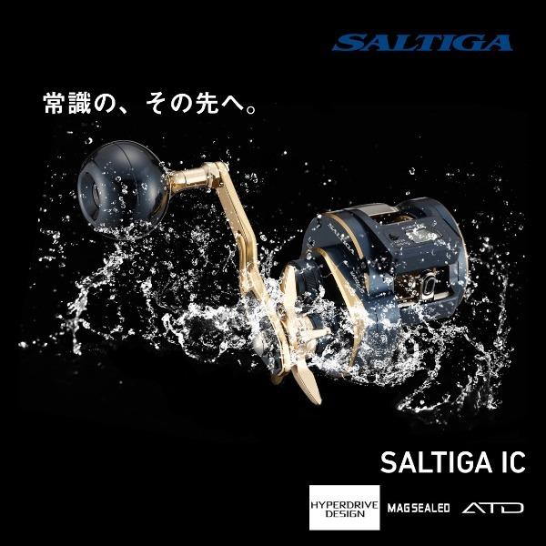 DAIWA（釣り） ダイワ '21 ソルティガ IC 300H-SJ (G) [90