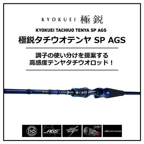 DAIWA（釣り） ダイワ [90] 20 極鋭タチウオ テンヤSP 91-180AGS (G 