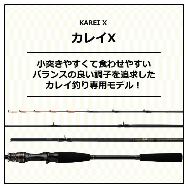 ダイワ '21 カレイ X 91-180 [90]｜kameya-ec1｜02