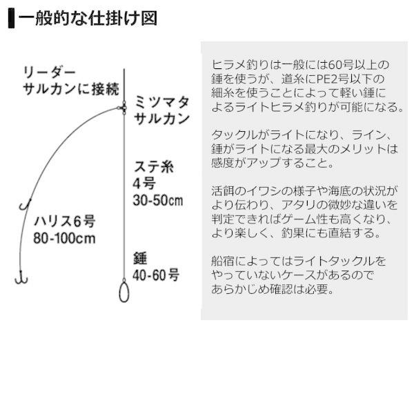 ガーシート ダイワ かめや釣具 通販 Paypayモール ライトヒラメx M 240 R アタリを
