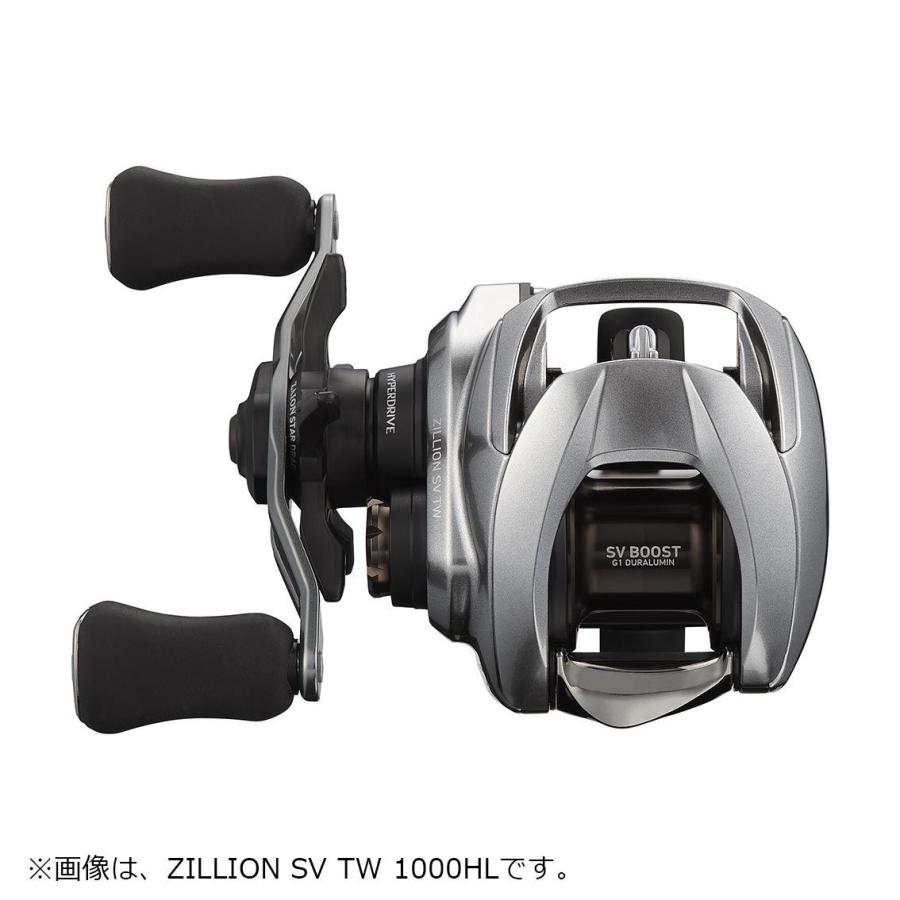 DAIWA（釣り） ダイワ '21 ジリオン SV TW 1000PL[90] : かめや
