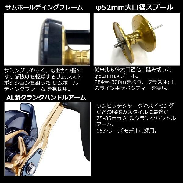 ダイワ '22 ソルティガ 15S (G1) [90]_10